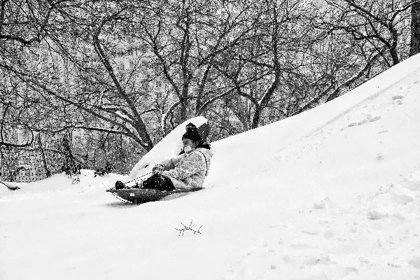 高清摄影 雪中滑行的欢乐时光