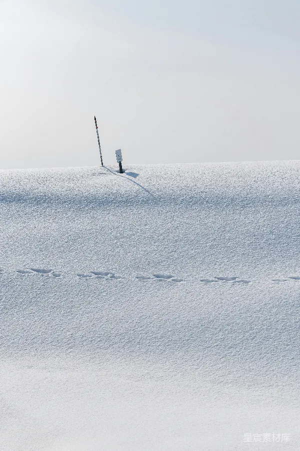 高清摄影 雪地中的脚印与标志