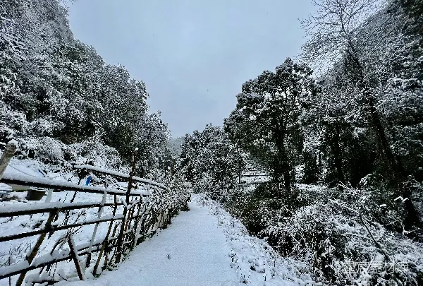 高清摄影 雪后的宁静小径