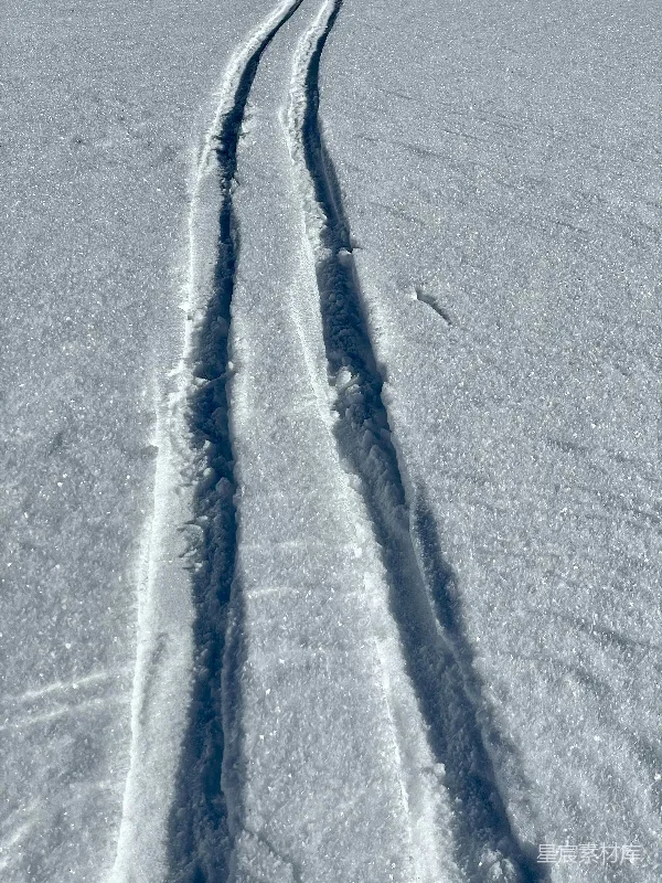 高清摄影 雪地上的足迹