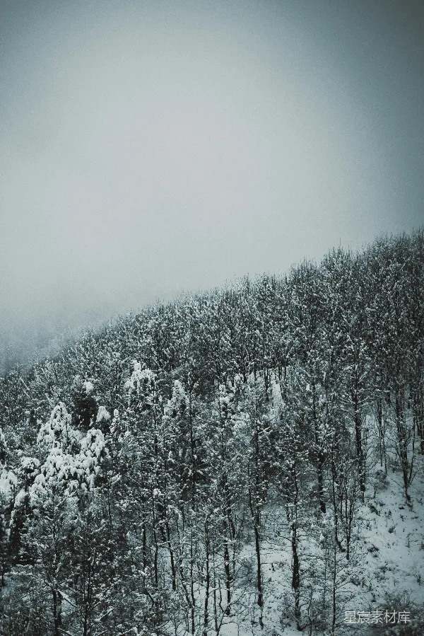 高清摄影 冬日山林雪景