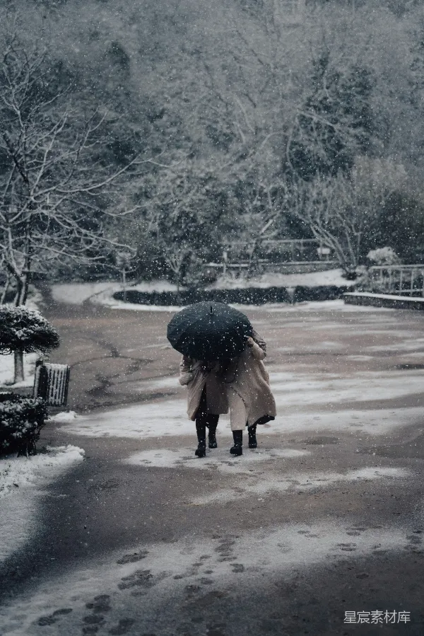 高清摄影 雪中漫步