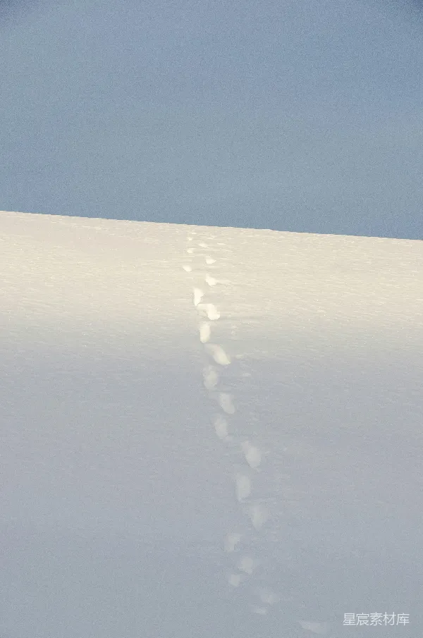 高清摄影 雪地上的足迹