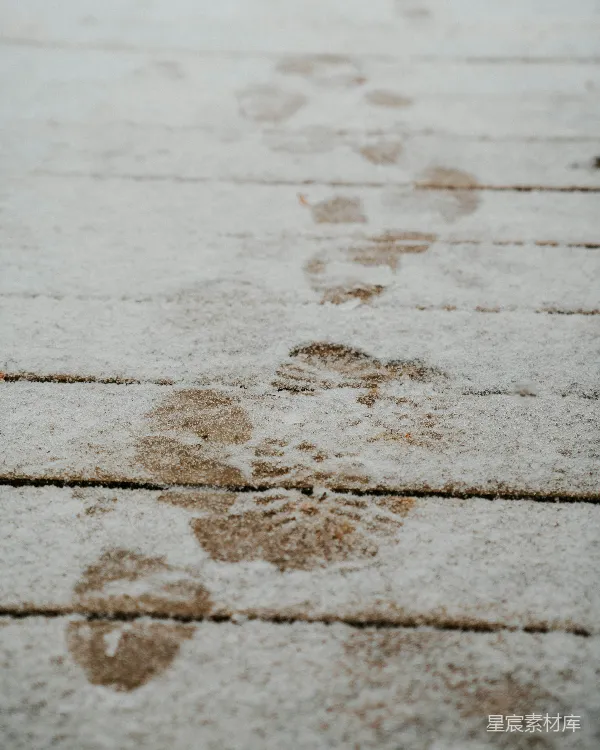 高清摄影 雪地上的足迹