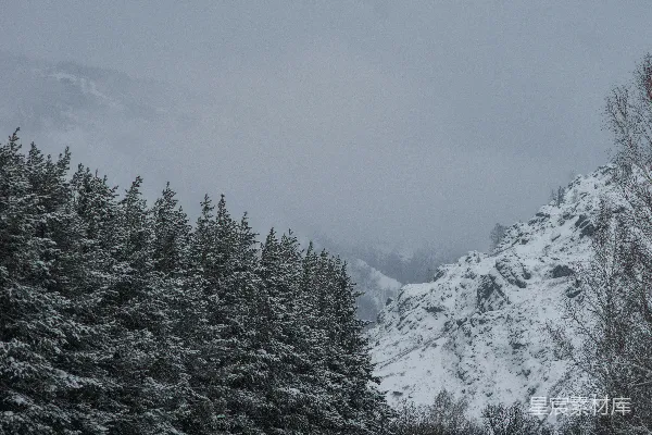 高清摄影 雪后的山林