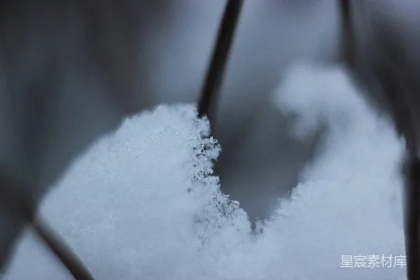 高清摄影 冬日雪景特写