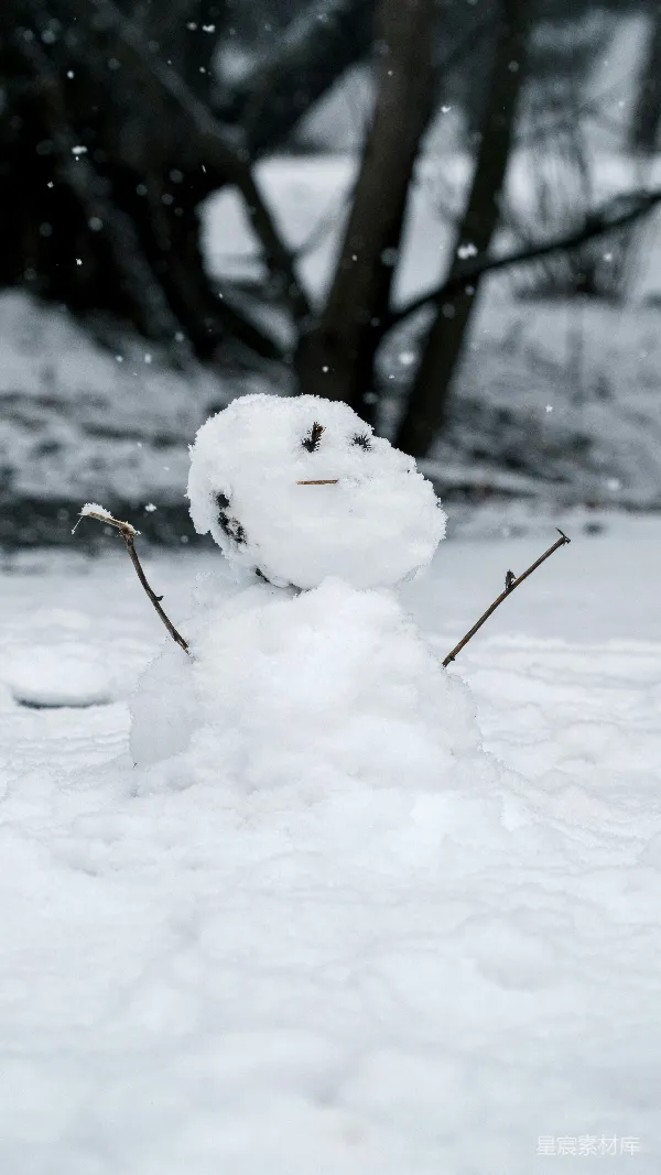 高清摄影 冬日里的雪人