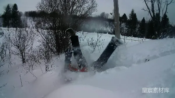 高清摄影 雪地里的冬季冒险