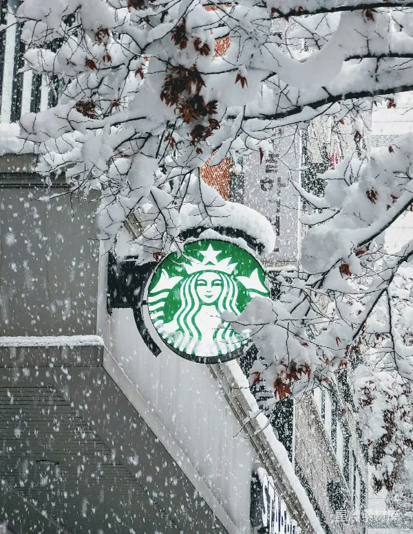高清摄影 雪中的星巴克