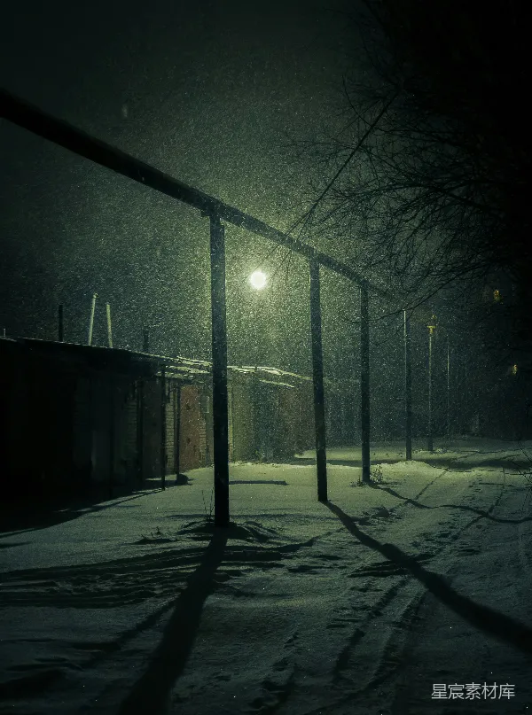 高清摄影 冬夜雪景下的街灯