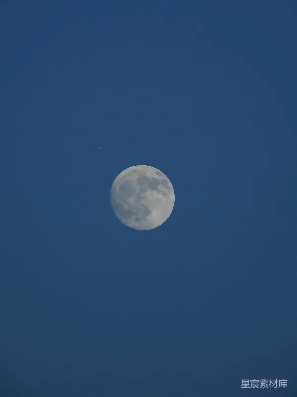 高清摄影 夜空中圆月与飞机