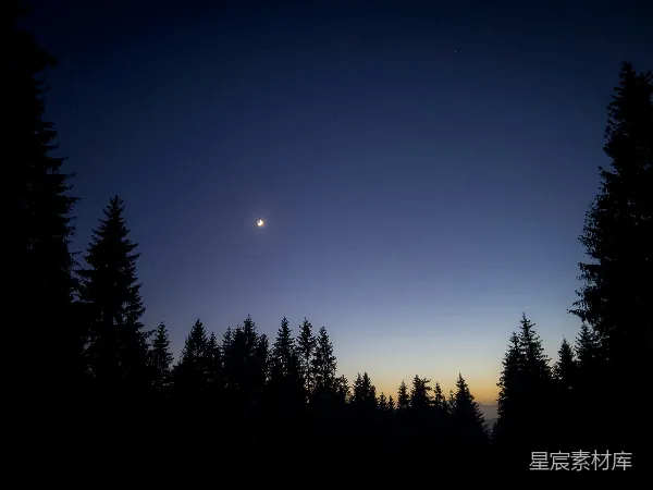 高清摄影 夜幕下的林梢与星月