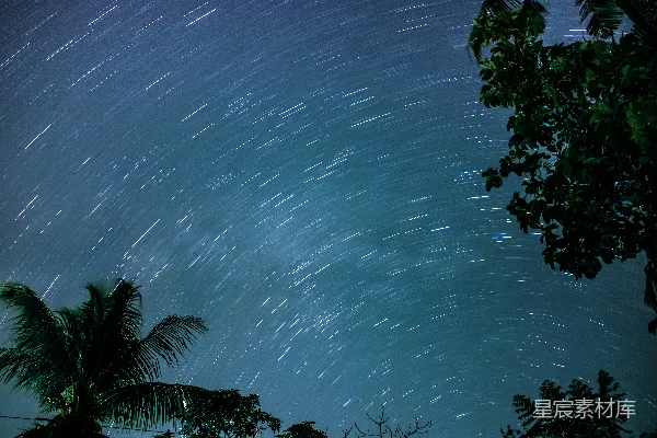 高清摄影 星轨下的椰林