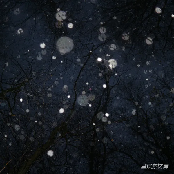 高清摄影 冬夜的光影交错