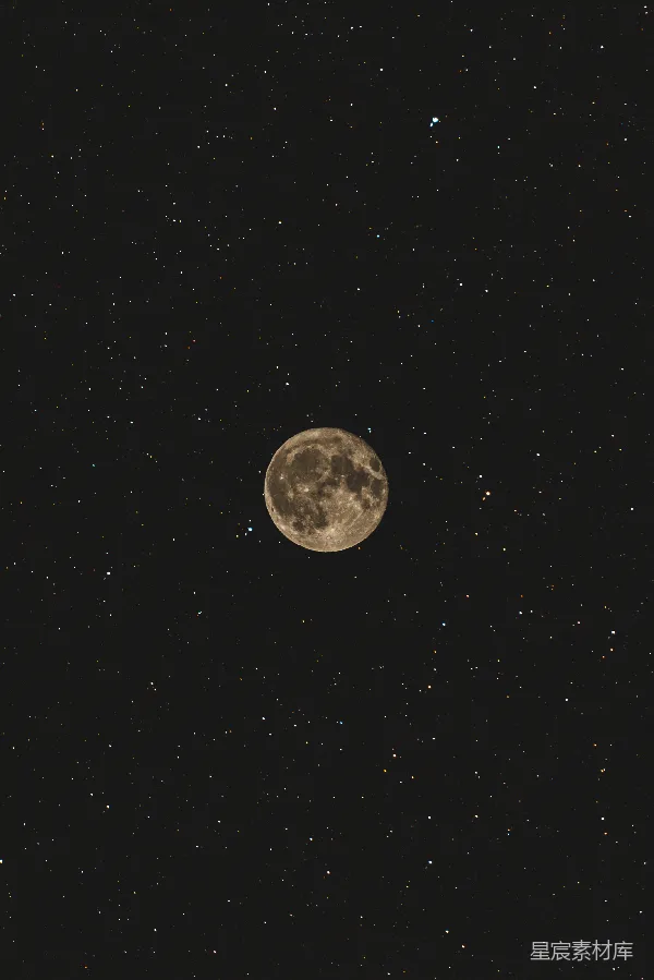 高清摄影 夜空下的满月