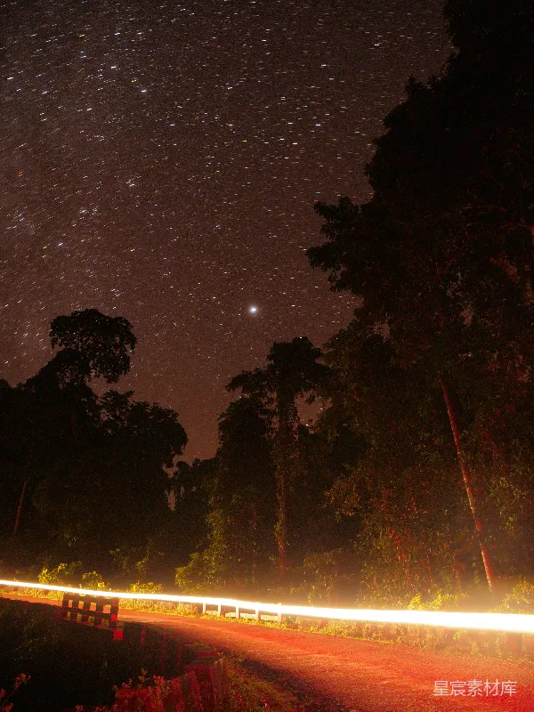 高清摄影 夜空下的林间小路