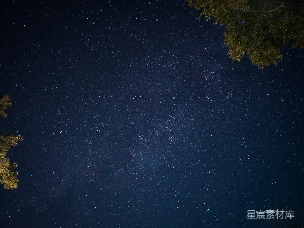 高清摄影 夜空下的繁星