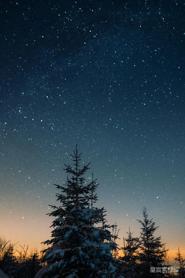 高清摄影 雪夜星空下的松树