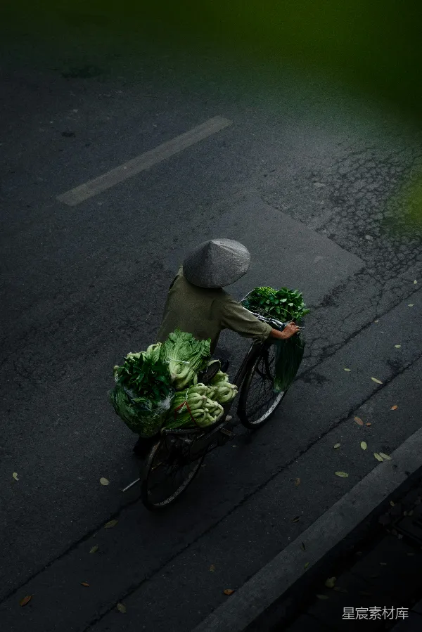高清摄影 越南街头的自行车蔬菜贩