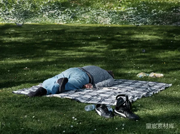 高清摄影 午后小憩