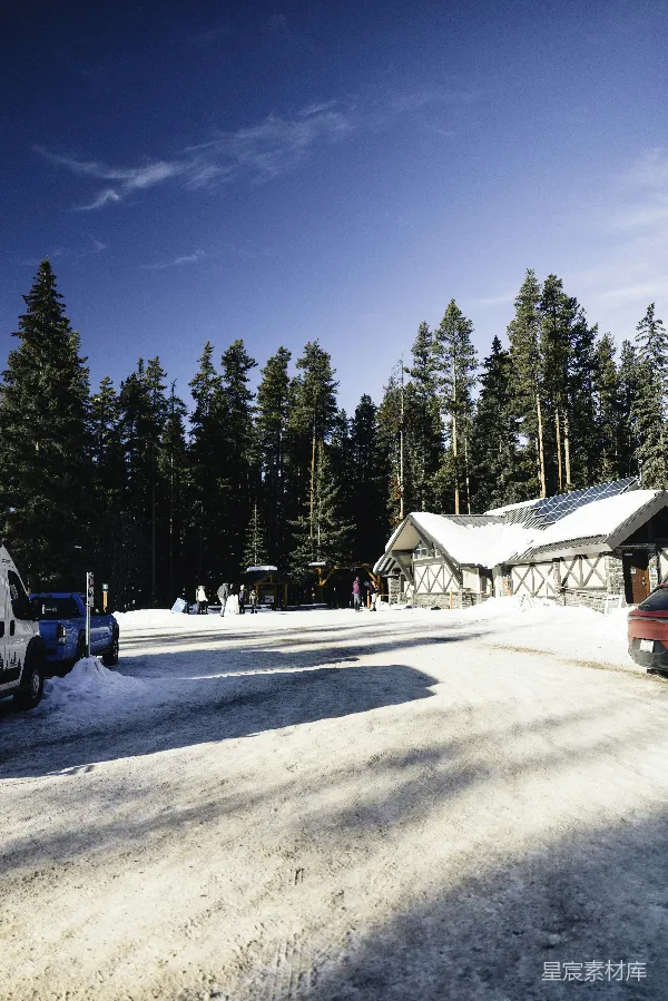 高清摄影 雪地中的小屋与松树林