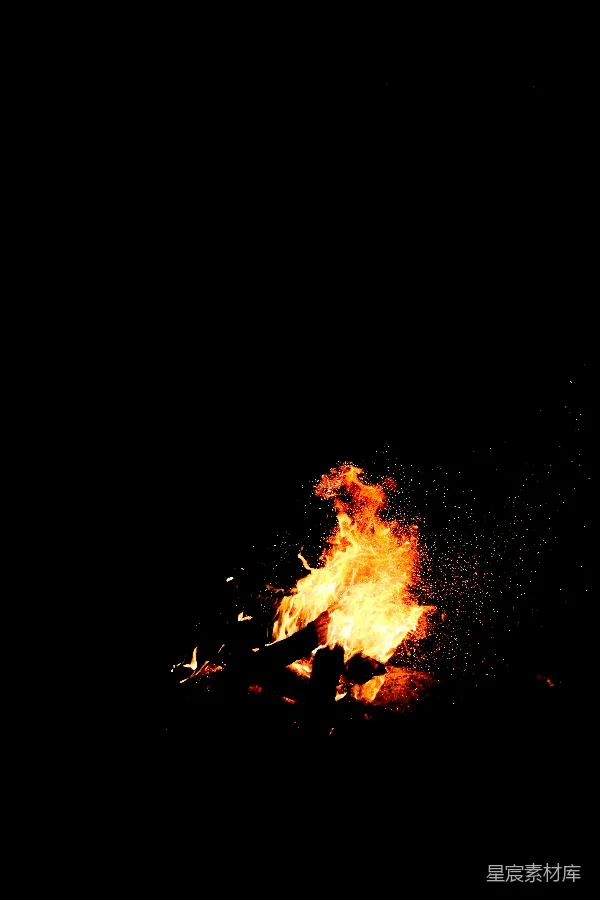 高清摄影 夜空下的篝火
