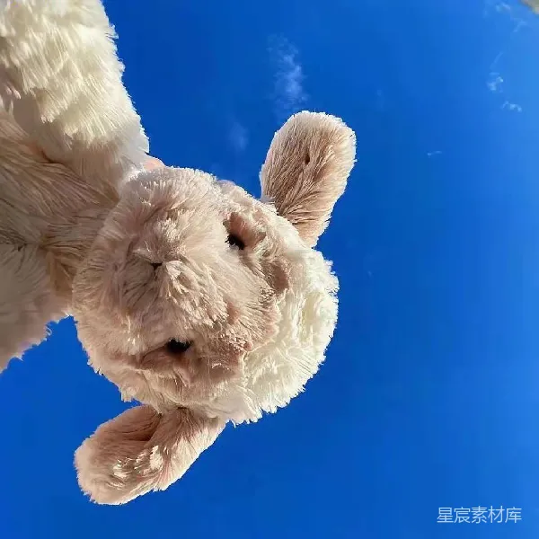 元素素材 蓝天下的可爱毛绒玩具