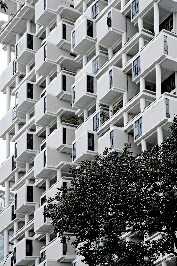高清摄影 现代建筑中的自然元素