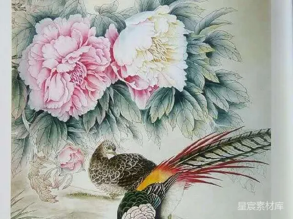 元素素材 工笔牡丹与锦鸡