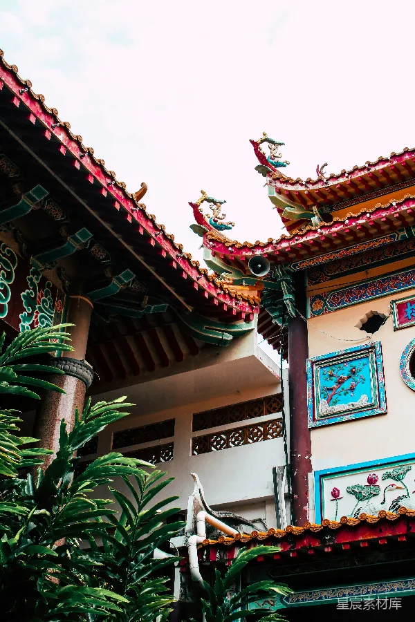 高清摄影 古典中式建筑与绿植的和谐之美