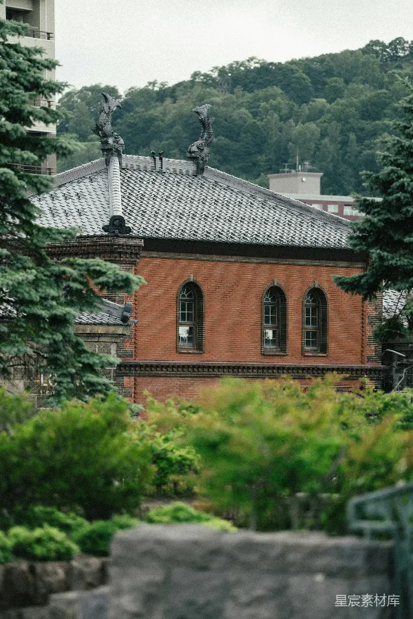 高清摄影 传统建筑与自然的和谐共存