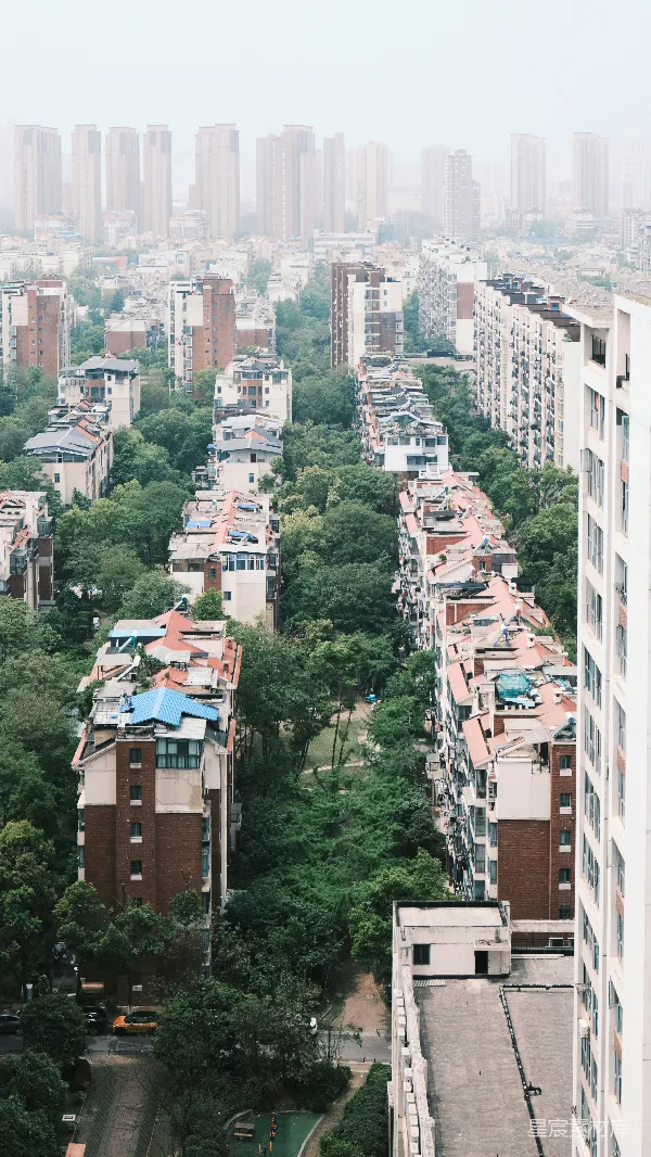 高清摄影 城市中的绿洲