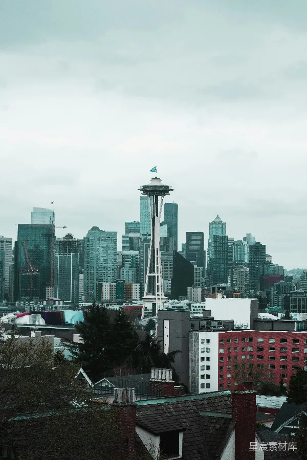高清摄影 Seattle Skyline from Above