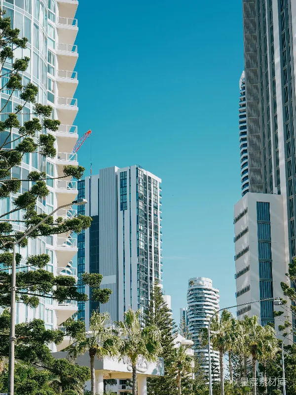 高清摄影 热带城市天际线