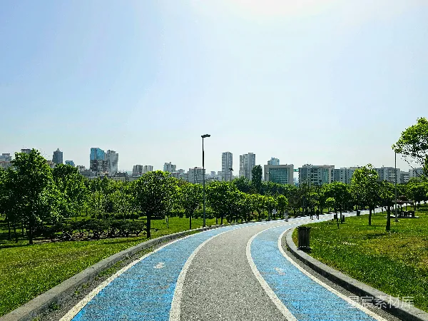 高清摄影 城市中的绿色自行车道