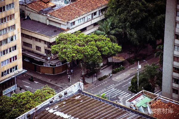 高清摄影 城市中的自然与建筑