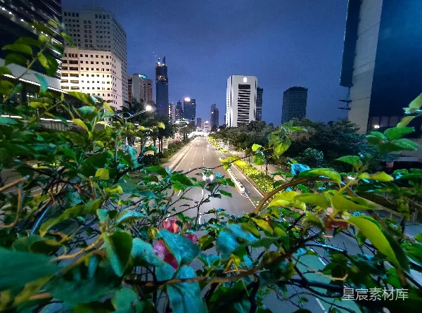 高清摄影 城市夜景中的绿意