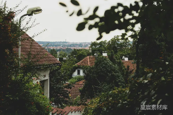 高清摄影 绿意盎然的屋顶花园