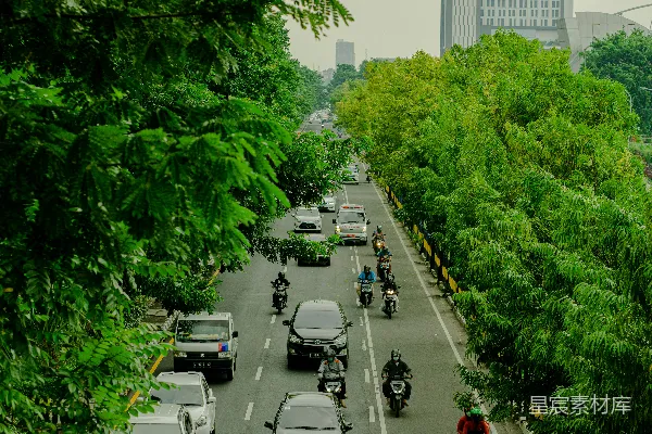高清摄影 城市绿道的繁忙与宁静