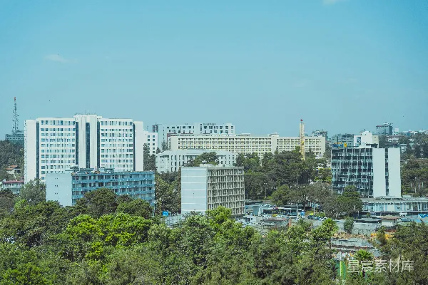 高清摄影 城市天际线与绿树成荫
