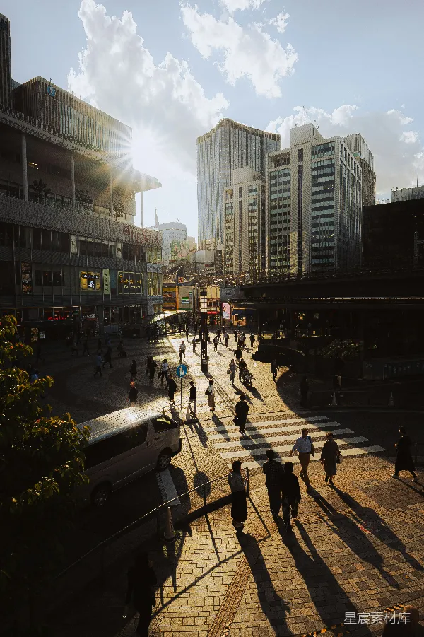 高清摄影 城市光影：阳光下的繁忙街头
