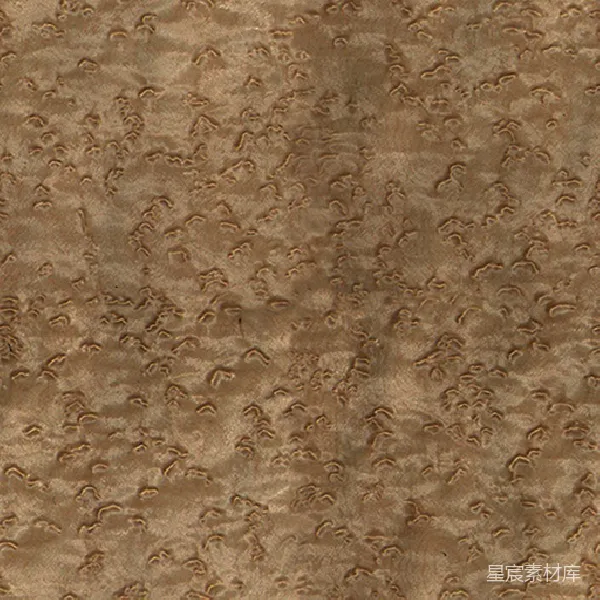 元素素材 金色纹理背景