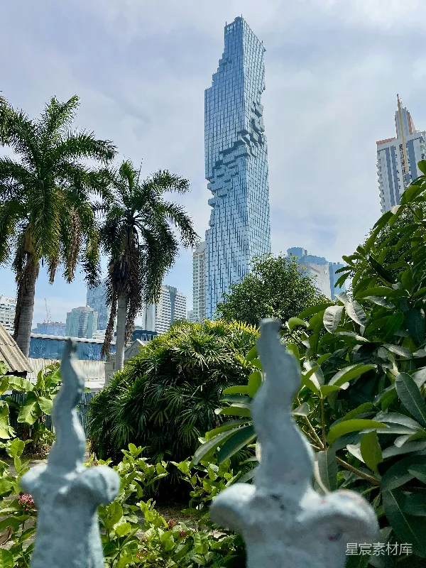 高清摄影 摩天大楼与热带植物的自然与现代交织