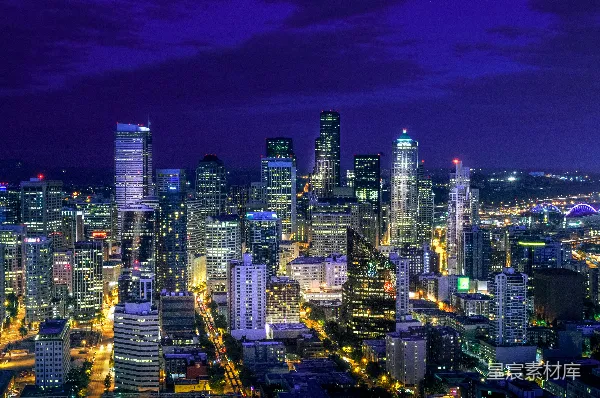 高清摄影 夜幕下的城市天际线