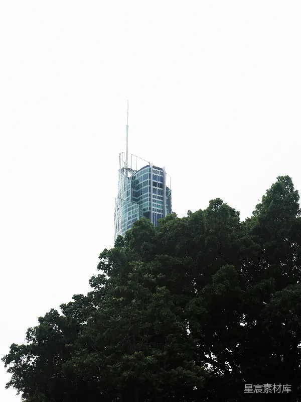 高清摄影 高楼与绿树