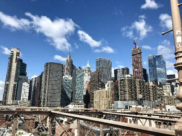 高清摄影 纽约天际线下的城市景观