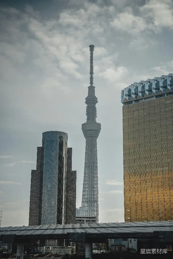 高清摄影 东京晴空塔与摩天大楼