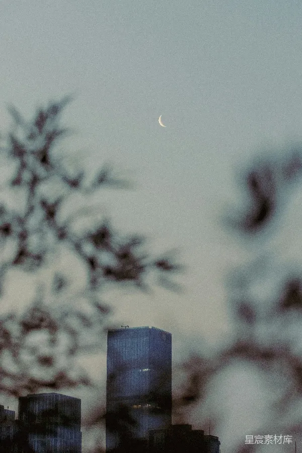 高清摄影 城市的夜景与新月