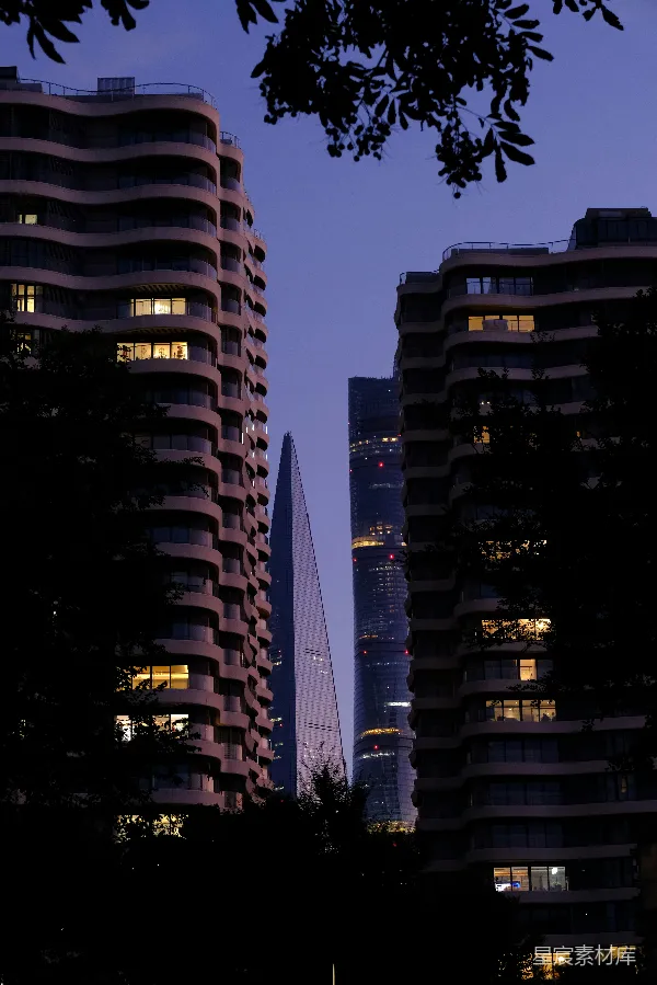 高清摄影 城市夜景中的建筑剪影
