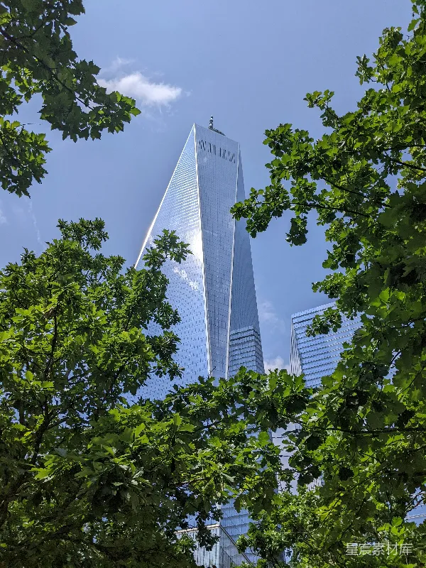 高清摄影 自由塔与绿树
